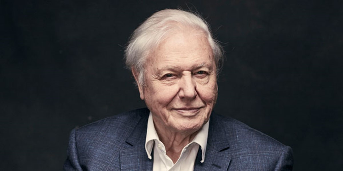 David-Attenborough-BBC_Sarah-Dunn-Free.jpg