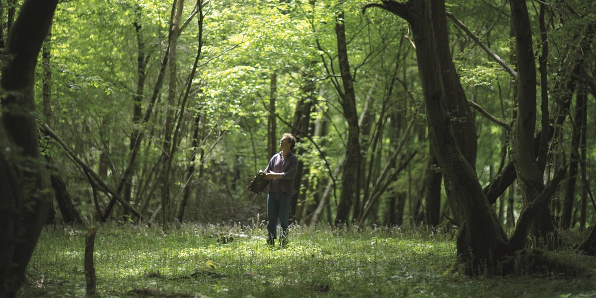 The Nightingale S Song Adam Loften 1 (1)