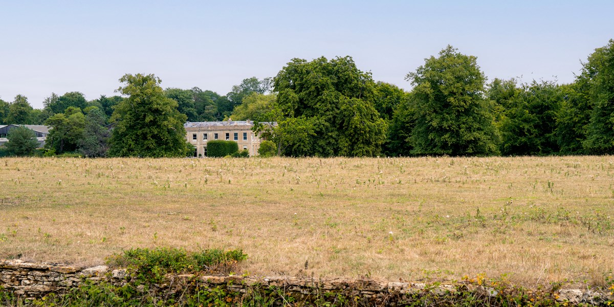 Womad @Garryjonesphotography 3108